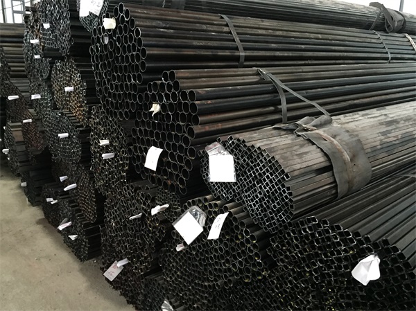 b_5529819202012051555223989.jpg b_5529819202012051555223989.jpg